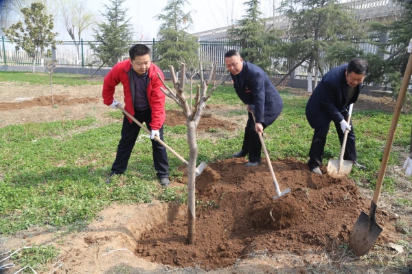 勤植樹??護環(huán)境??美大地